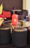 Туры в отель Novotel Sydney International Airport Hotel