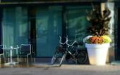 Туры в отель Best Western Hotel Apollo