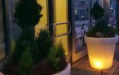 Туры в отель Best Western Hotel Apollo