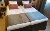 Туры в отель Skyline Airport Hotel