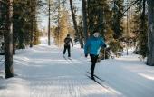 Туры в отель Lapland Hotels Hetta