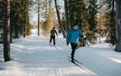 Туры в отель Lapland Hotels Hetta