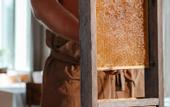 Туры в отель Lapland Hotels Hetta