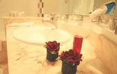 Туры в отель Regency Tunis Hotel