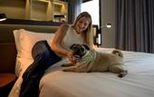 Туры в отель Novotel SP Jardins