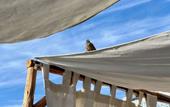 Туры в отель Riad Tizwa