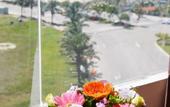 Туры в отель Brown Bean 2 Hotel
