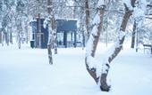 Туры в отель Отель Green Park