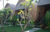 Туры в отель Sunset Coin Lembongan Cottage and Spa