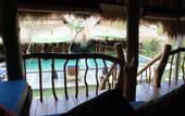 Туры в отель The Calmtree Bungalows