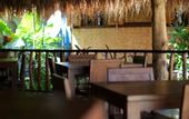 Туры в отель The Calmtree Bungalows