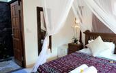 Туры в отель The Calmtree Bungalows
