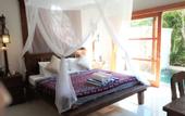 Туры в отель The Calmtree Bungalows