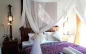 Туры в отель The Calmtree Bungalows