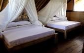 Туры в отель The Calmtree Bungalows