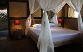 Туры в отель The Calmtree Bungalows