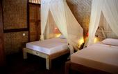 Туры в отель The Calmtree Bungalows