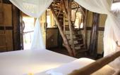 Туры в отель The Calmtree Bungalows