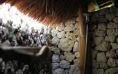 Туры в отель The Calmtree Bungalows