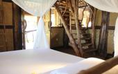 Туры в отель The Calmtree Bungalows