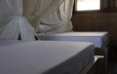 Туры в отель The Calmtree Bungalows