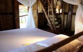 Туры в отель The Calmtree Bungalows
