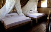 Туры в отель The Calmtree Bungalows