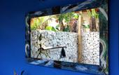 Туры в отель The Calmtree Bungalows