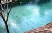 Туры в отель The Calmtree Bungalows