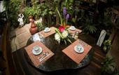 Туры в отель Eco-hotel El Rey del Caribe