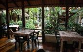 Туры в отель Eco-hotel El Rey del Caribe