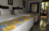 Туры в отель Eco-hotel El Rey del Caribe