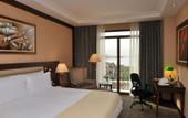 Туры в отель Wellborn Luxury Hotel