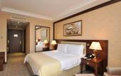Туры в отель Wellborn Luxury Hotel