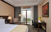 Туры в отель Wellborn Luxury Hotel