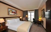 Туры в отель Wellborn Luxury Hotel