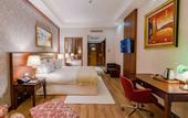 Туры в отель Wellborn Luxury Hotel