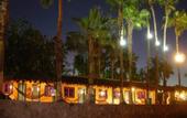 Туры в отель Hotel Oasis