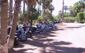 Туры в отель Hotel Oasis