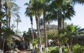 Туры в отель Hotel Oasis
