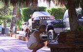 Туры в отель Hotel Oasis