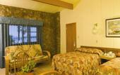 Туры в отель Hotel Oasis