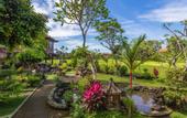 Туры в отель Ganesha Ubud Inn