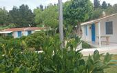 Туры в отель Teos Ormanci Tatil Koyu