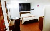 Туры в отель Orchid Inn