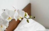 Туры в отель Smarthotel Tromso