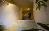 Туры в отель Monkey Flower Villas