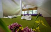 Туры в отель Monkey Flower Villas