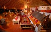 Туры в отель The Jungle Club