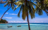 Туры в отель Phangan Island View Hotel